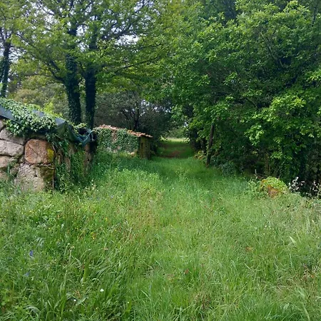 Hébergement de vacances A Casa Da Cernada *